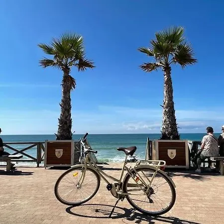 Superbe Vue A 180° Sur L'ocean * Lacanau
