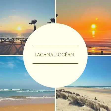Апартаменты Superbe Vue A 180° Sur L'ocean *